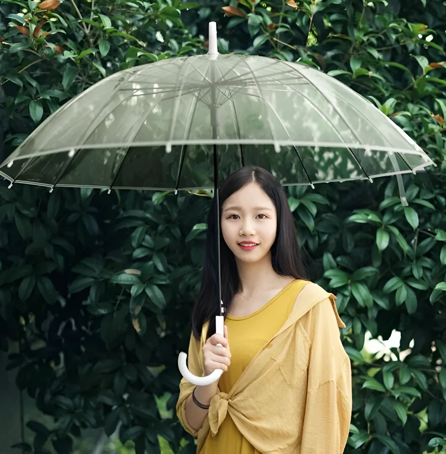 Big Long Handle 16 Rib Transparent Umbrella with POE Fabric Canopy Black Steel Skeleton ABS Plastic Handle for Rain Protection Black White Colour Options