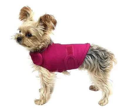 Dog wearing brocade cotton calming tank top for separation anxiety relief in Rose Red colour