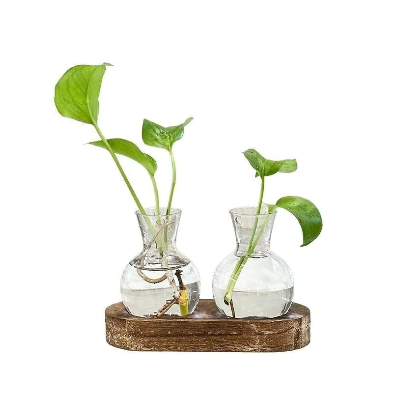 Wooden frame holding transparent glass hydroponic vases in modern home setting