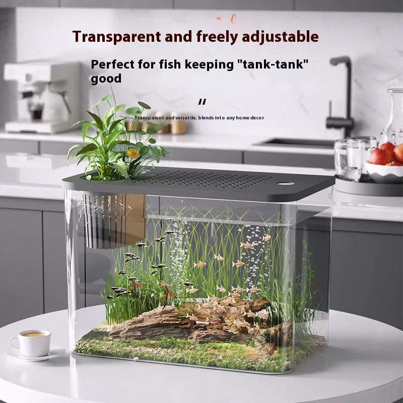 Black or white plastic betta fish tank with cover measuring 32cm wide by 18.5cm deep by 23cm high