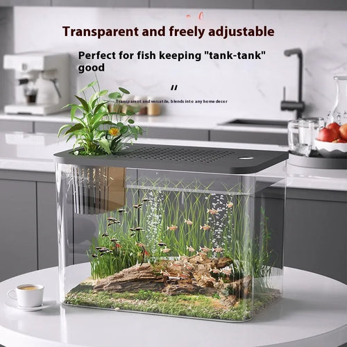 Black or white plastic betta fish tank with cover measuring 32cm wide by 18.5cm deep by 23cm high