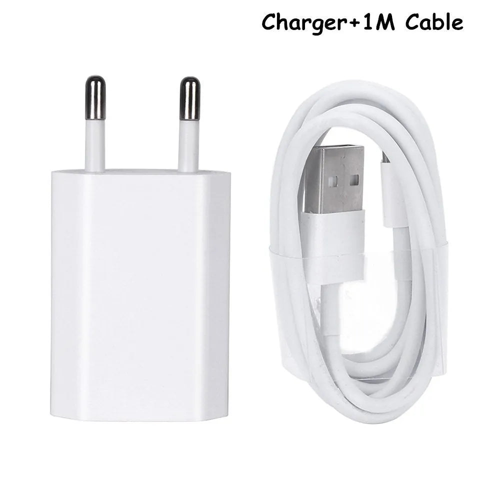 White 5V 2A USB wall charger and cable compatible with iPhone 5 6 X and iPad Air Mini