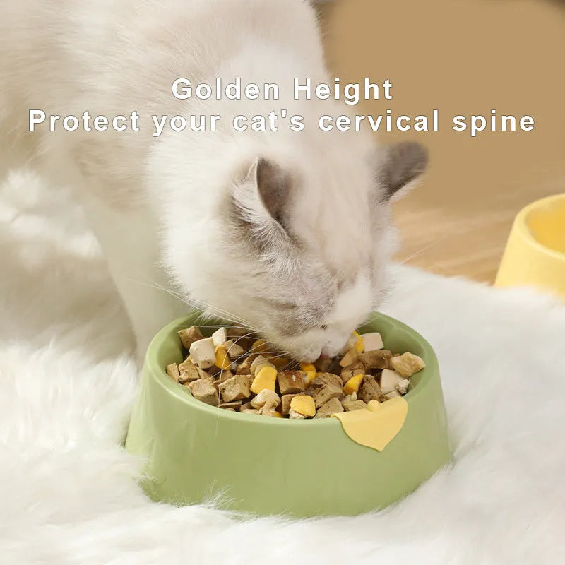 Plastic double pet bowl with flower design in blue colour showing food and water compartments