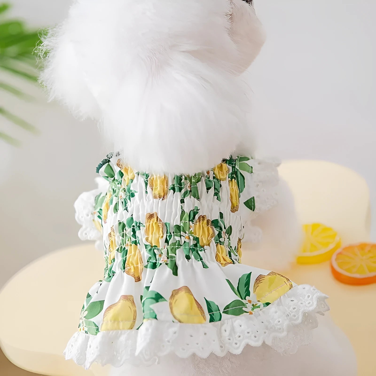 Rock yellow lemon polyester dog skirt dress on mannequin showing strap and princess design