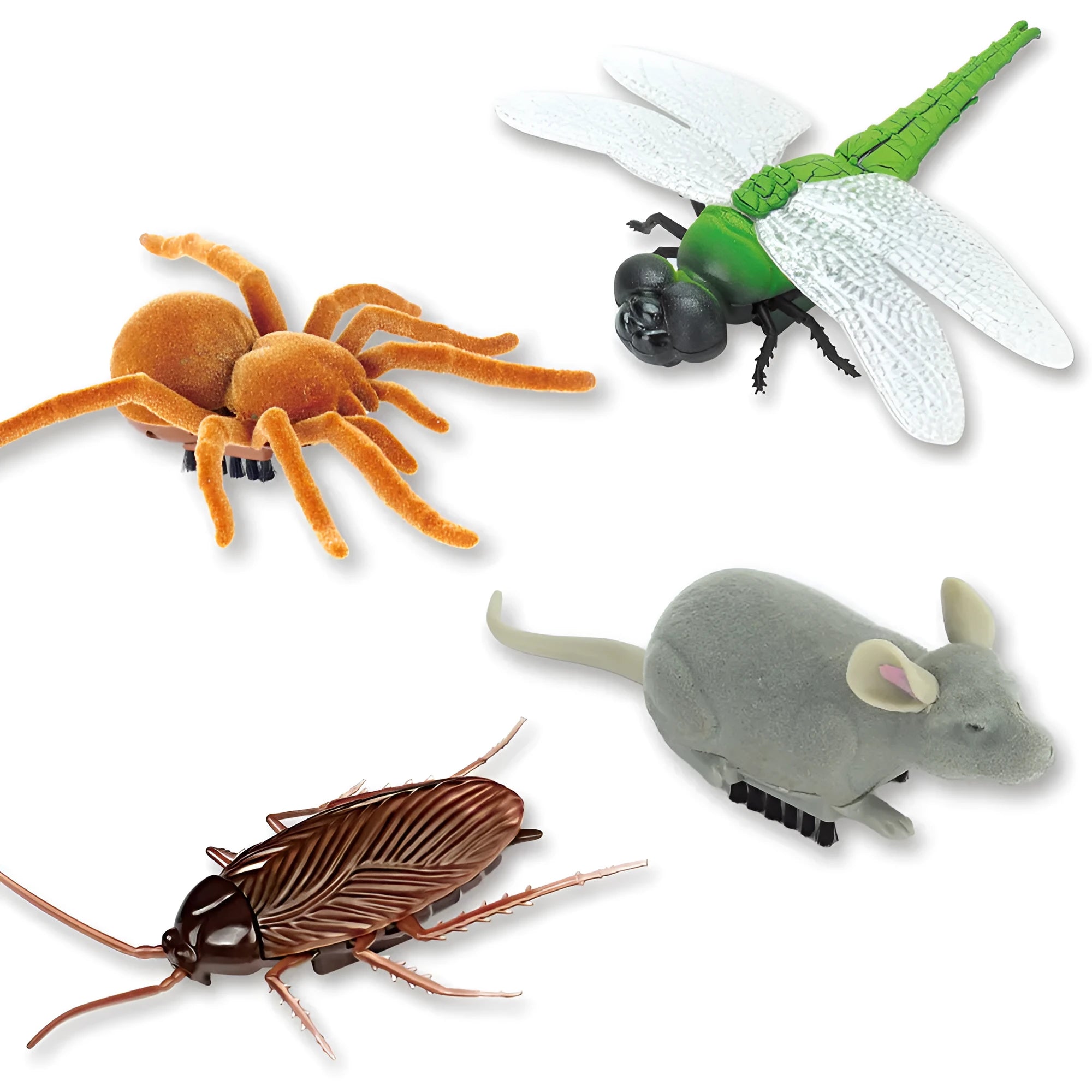 Electric vibration pet toy showing insect simulation design with walking trick mechanism