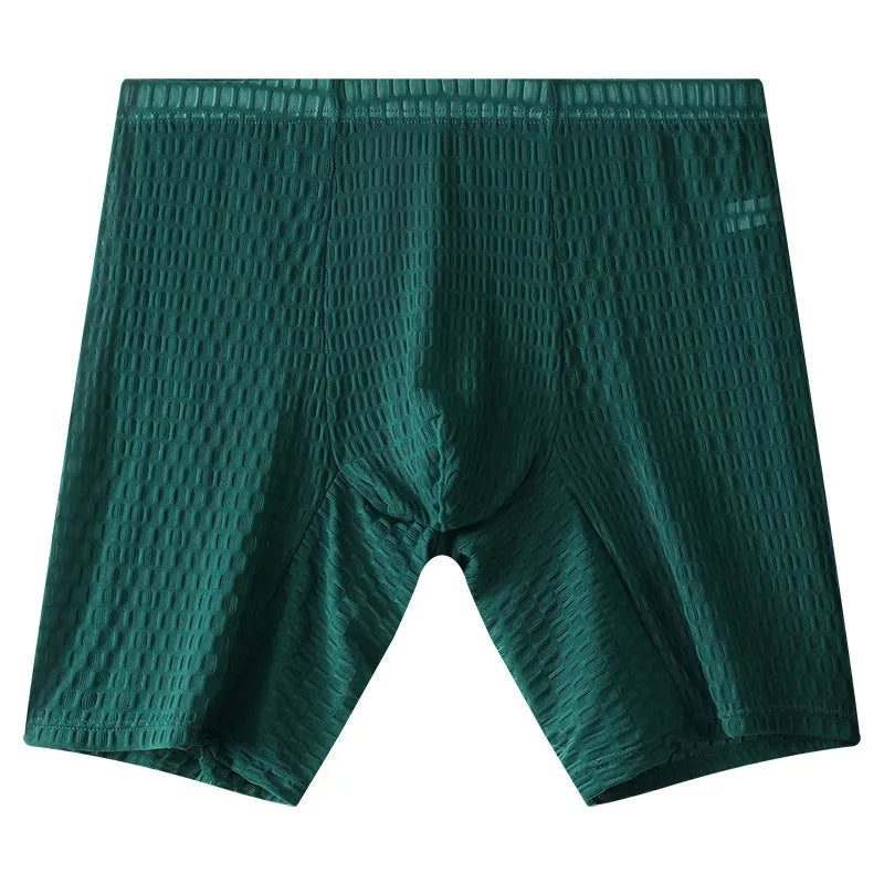 Men's lengthened transparent lace boxers in nylon fabric with mid waist design