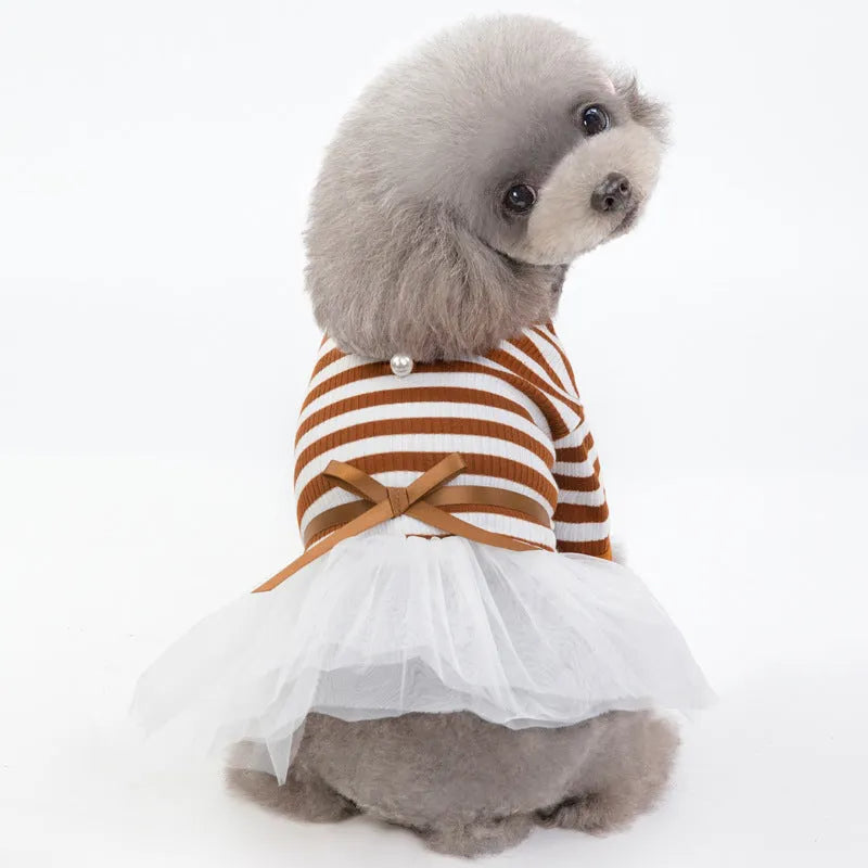 Cotton pet skirt for small female dogs with bears teddy design in coffee colour