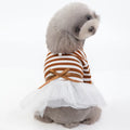 Cotton pet skirt for small female dogs with bears teddy design in coffee colour