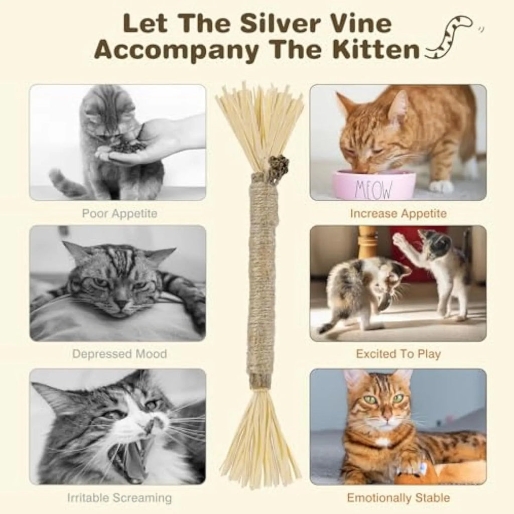 Three natural silvervine chew sticks for cats with sisal rope, shown with Fine and Thick diameter options.