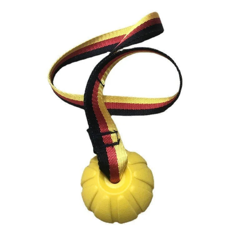 Floating camouflage and yellow EVA pet training ball with knotted tether in three diameter sizes for water retrieval