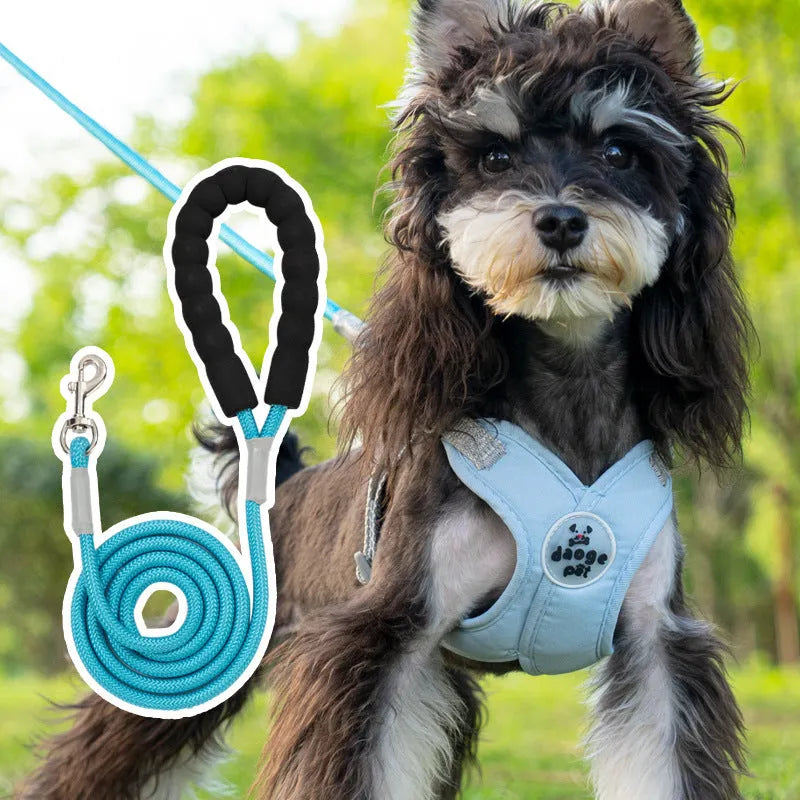 Adjustable dog harness and leash set in blue polyester with vest and hand-holding rope