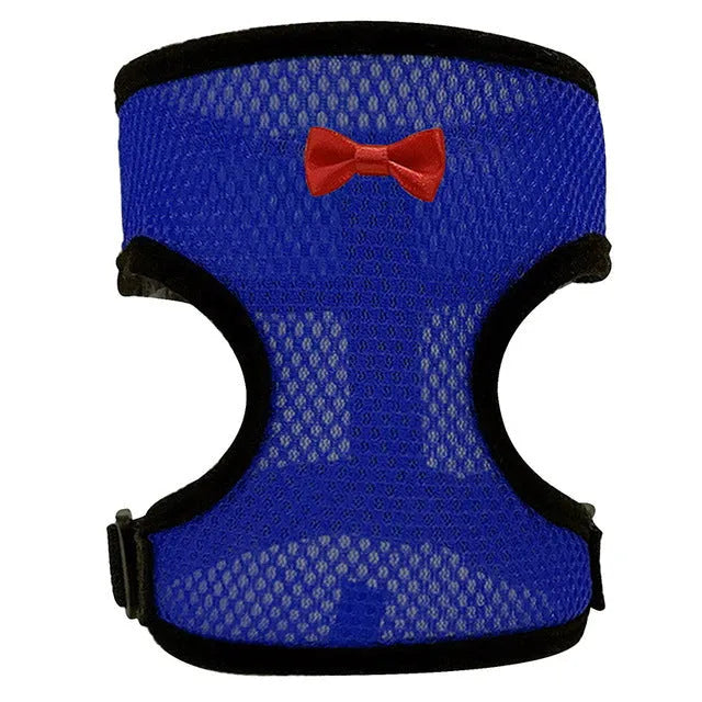 Poultry chicken harness and vest set in chosen colour with adjustable collar and 110cm traction rope.