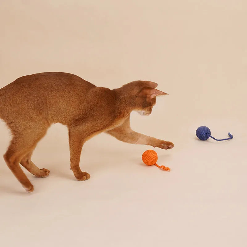 Cat teaser stick set with bite-resistant catnip ball and self-play toys in blue, green, red or multicolour options