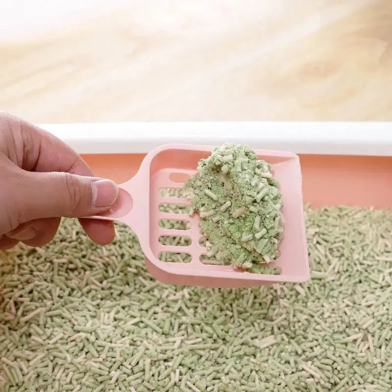 Plastic cat litter scoop in blue, green, or pink colours showing dimensions of 20cm length