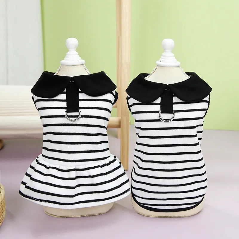Dog wearing cotton summer stripes T-shirt and matching skirt set
