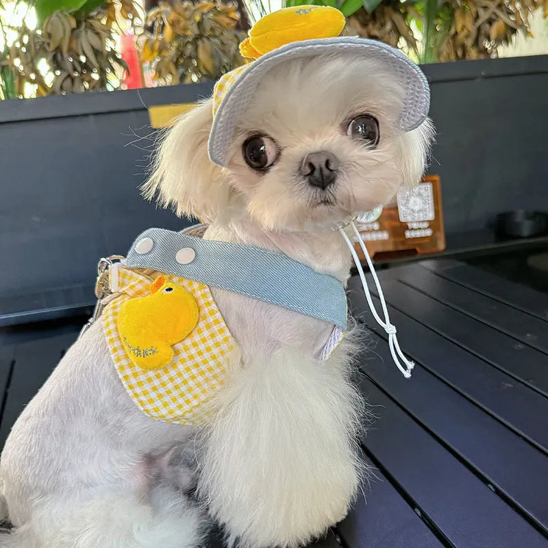 Pet harness and leash set with wire rope pulling section, three-piece cat clothes, and hat accessory