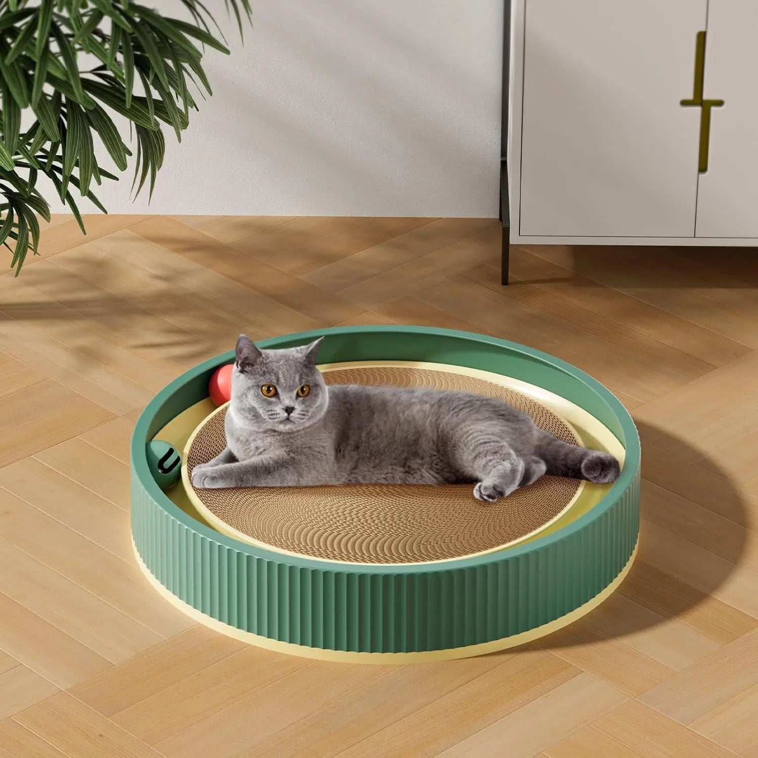 Large green cat scratching board with ball toys measuring 45cm diameter for indoor cats