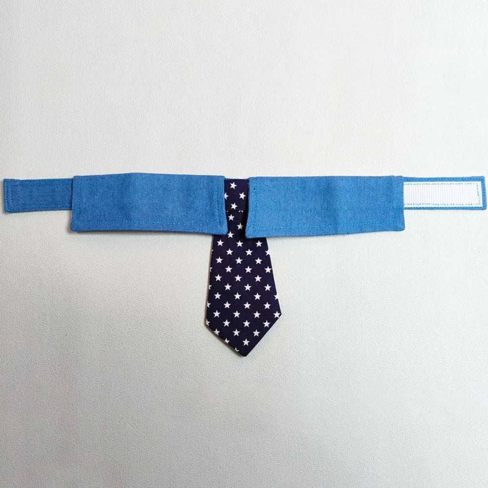 Adjustable denim dog collar with blue star pattern necktie fastened on a pet.