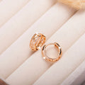Rose gold hollowed out leaf and heart shape copper earrings for women