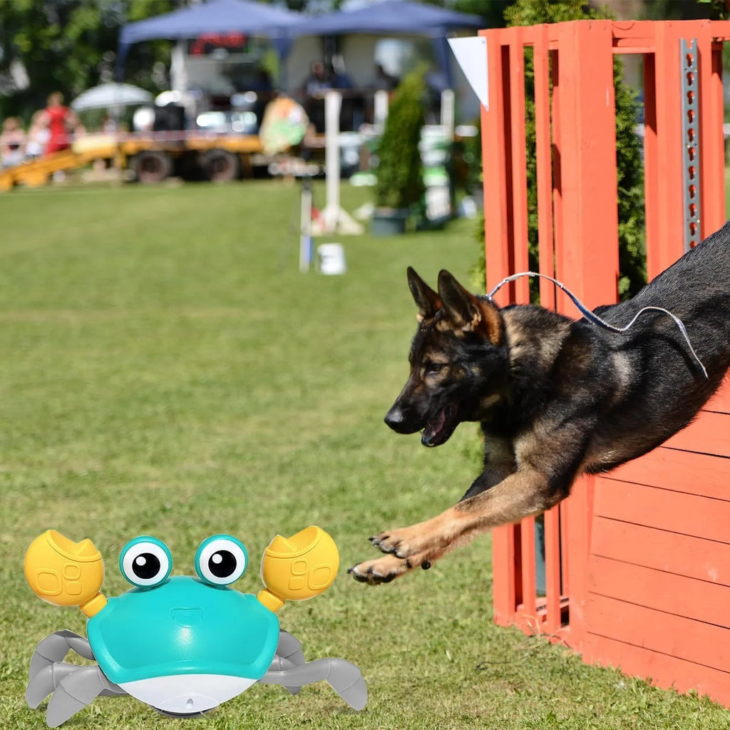 Blue interactive crawling crab dog toy with obstacle avoidance sensors
