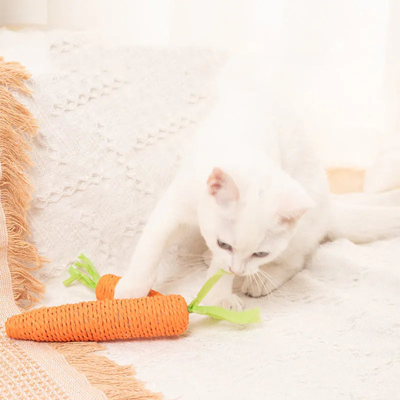 Multipack of cat toys including paper carrots, jingling stones, cat sticks, and tooth grinding sticks in two size options