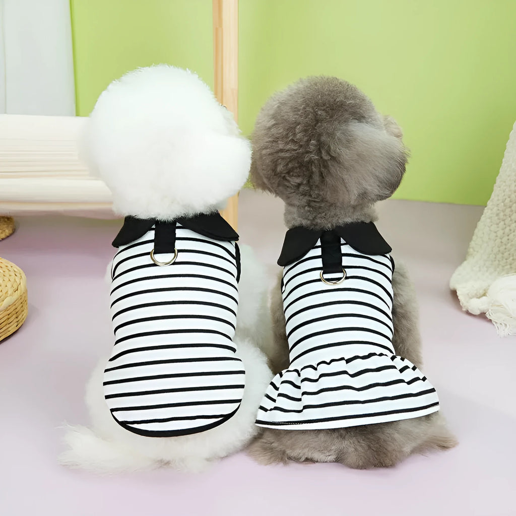 Dog wearing cotton summer stripes T-shirt and matching skirt set