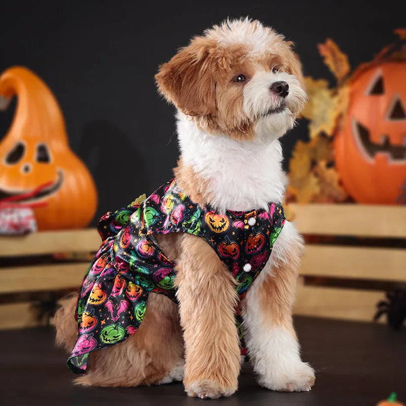 Halloween dog costume with angel wings in bright pumpkin orange or bat pattern colours