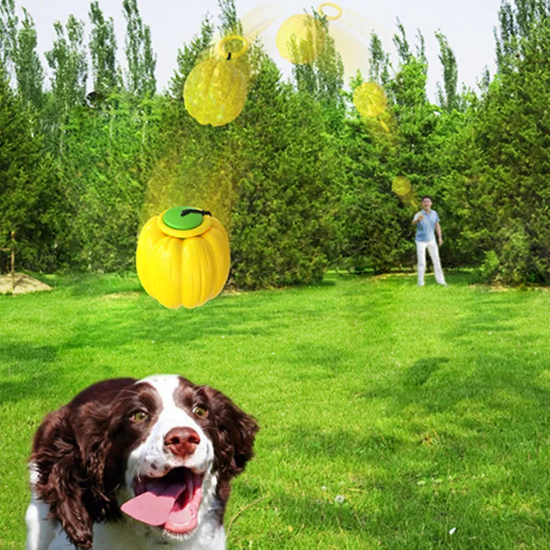 Plastic pumpkin-shaped squeaker dog ball for small dogs, 69mm diameter