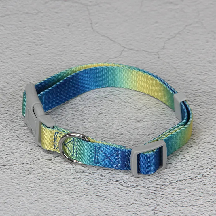 Gradient colour nylon dog leash in pink and yellow, shown as a collar-style lead.