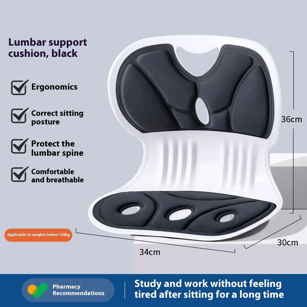 Grey waist support seat cushion with lumbar pillow for office chair or car seat comfort