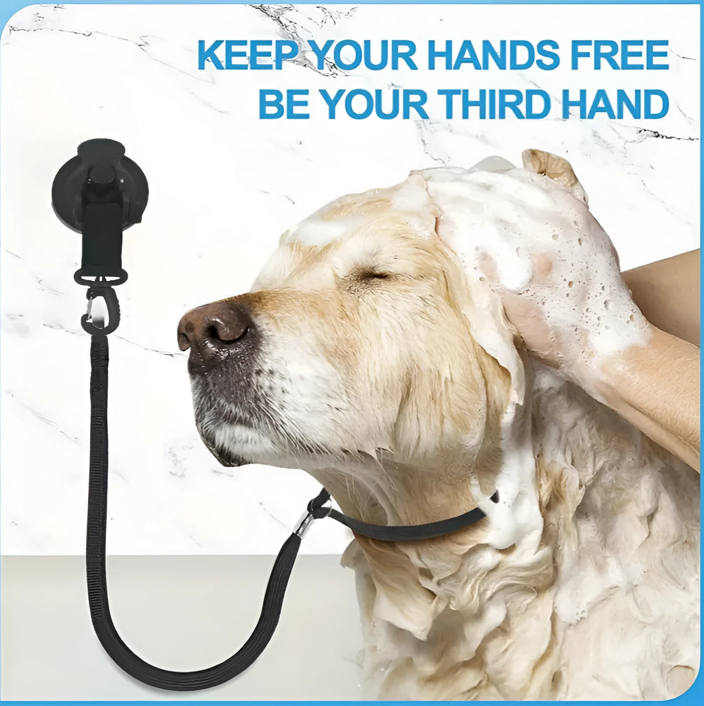 Black and blue pet bathing restraint with four adjustable suction cup cuffs for dogs.
