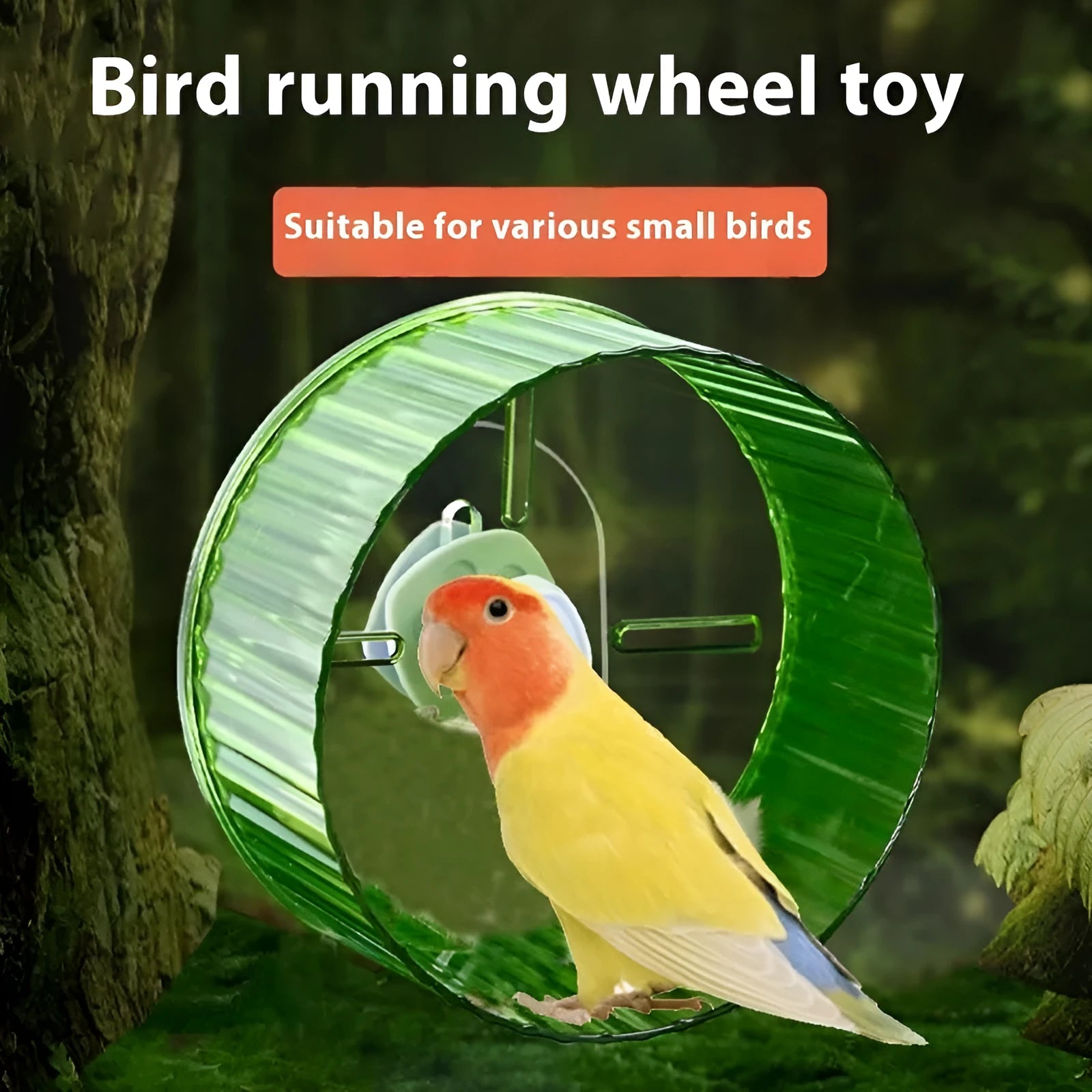 21cm plastic parrot running wheel bird exercise toy in transparent, green, grey, orange, or purple