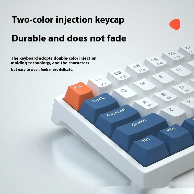 Small bluish-black 61-key mechanical keyboard with wired USB cable showing multiple switch colour options