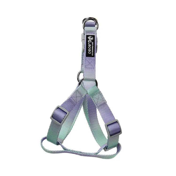 Gradient colour nylon dog leash in pink and yellow, shown as a collar-style lead.