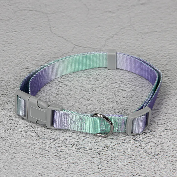 Gradient colour nylon dog leash in pink and yellow, shown as a collar-style lead.