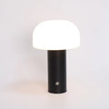 USB-powered dual-purpose table lamp with plug-in decorative element in black, green, orange, or white colours