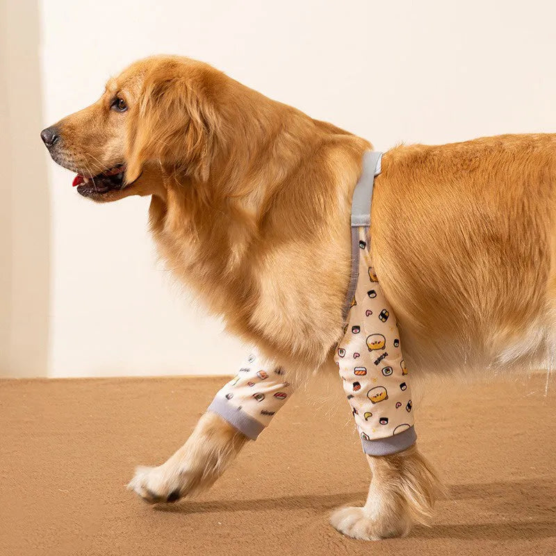 Blue dog knee protector wrap with thick elbow padding and adjustable plastic buckle, shown with coordinating scarf