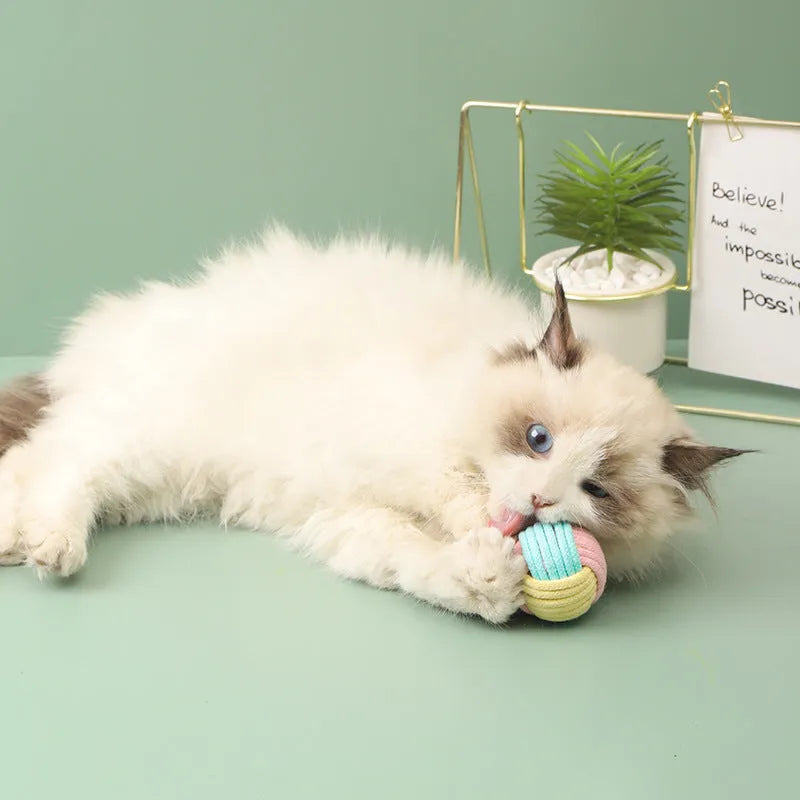 5cm diameter cotton plush cat toy in blue powder, green blue, or pink green colours for teeth grinding