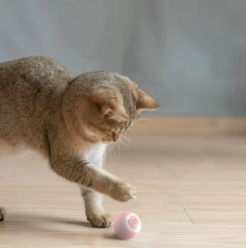 Blue automatic moving cat toy ball on floor with charging cable