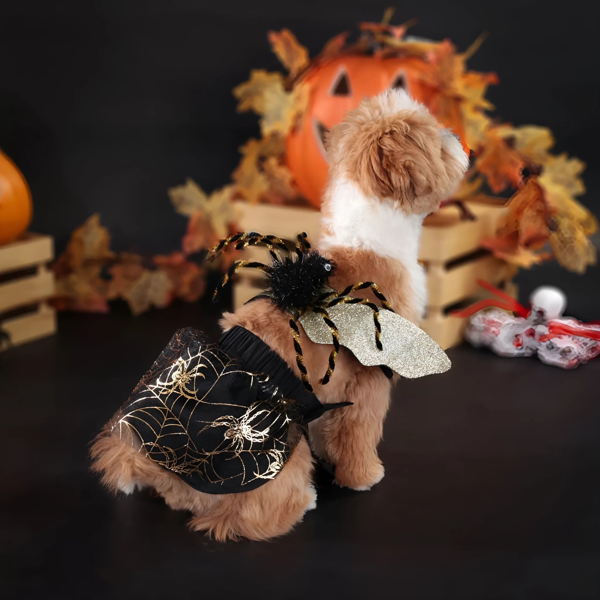 Polyester dog Halloween costume suit with zipper fastening in four standard sizes