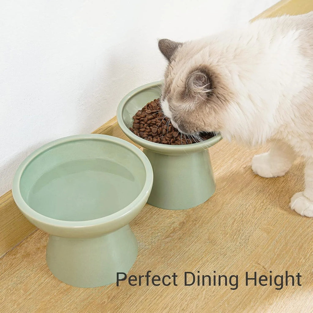 Blue ceramic elevated cat food bowl with wide shallow design next to a matching water bowl.