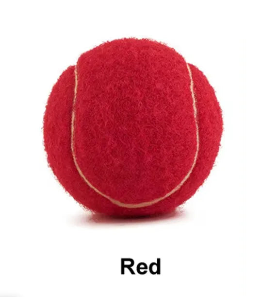 6.3cm rubber dog tennis ball in bright colours for bite-resistant fetch and training