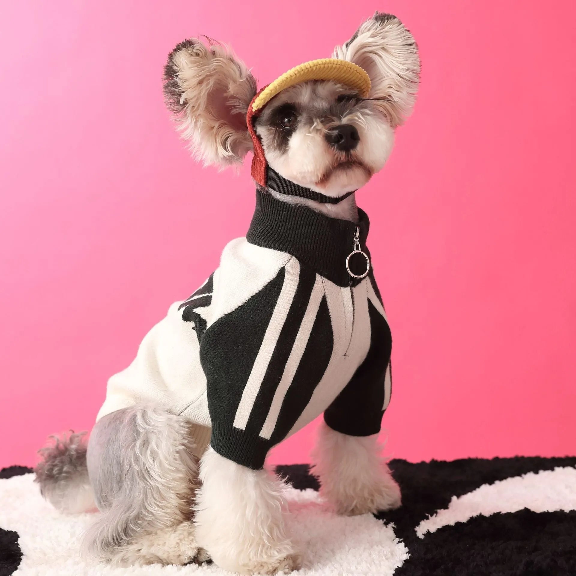 Dark green wool sports sweater cardigan for medium-sized dog on white background