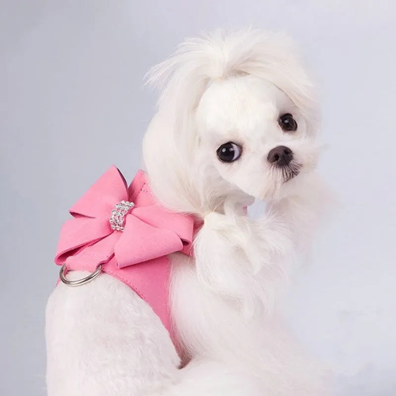 Puppy wearing a blue microfiber chest strap with a decorative bowknot, showing the adjustable lead attachment.