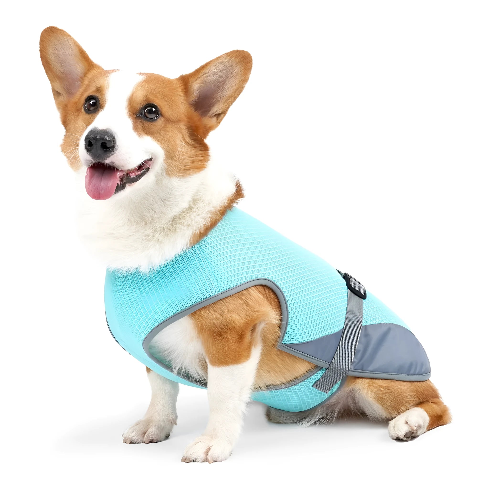 Light grey breathable polyester mesh cooling vest for a dog on a size chart showing S, M, L, XL measurements.