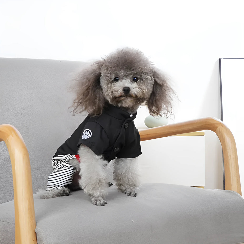 Thin cotton poodle clothing in skirt and trouser styles for warm weather