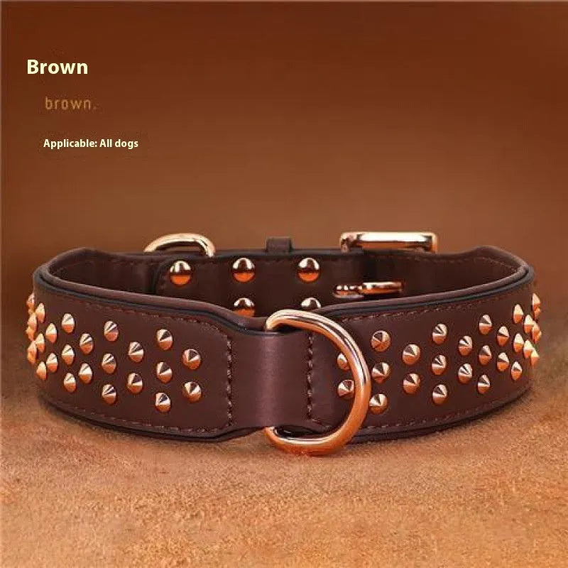 Leather dog collar with metal rivets in chocolate brown, shown in size L
