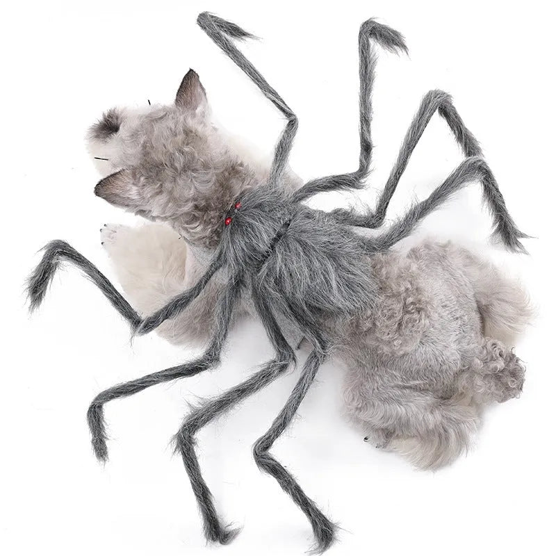 Halloween spider costume for dog or cat with eight legs and full body coverage