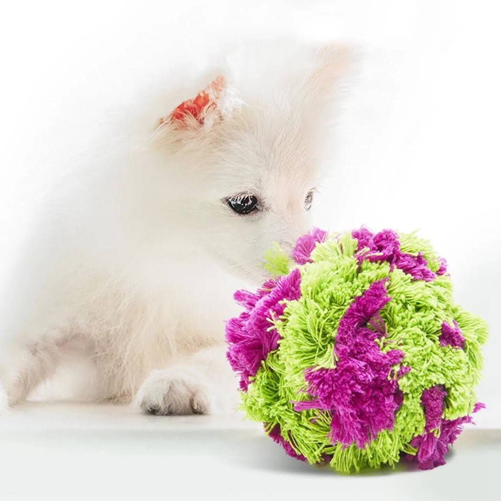Purple plush dog chew ball seaweed design 15cm diameter