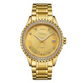 Men's waterproof automatic mechanical watch with luminous hands in business style